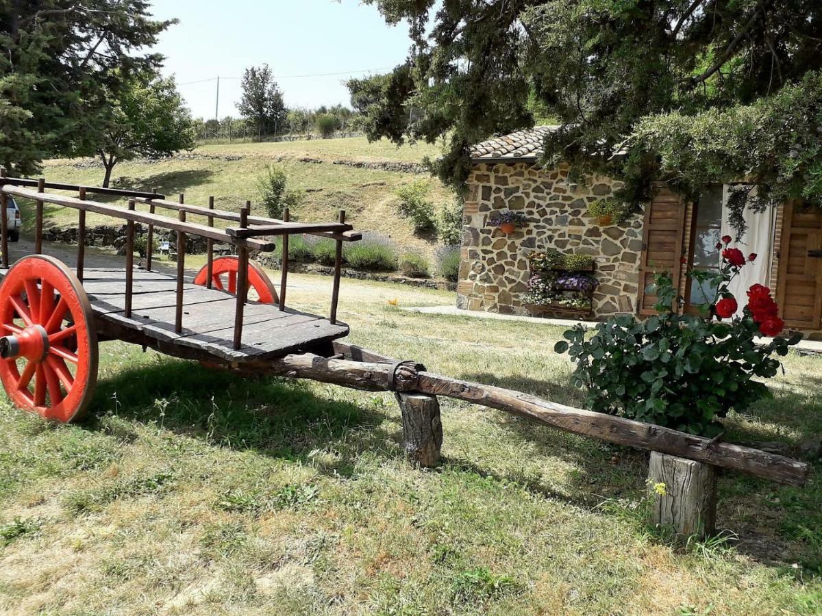Agriturismo "Apparitoio" Montelaterone Exterior foto