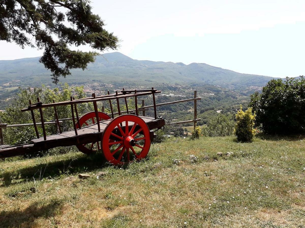 Agriturismo "Apparitoio" Montelaterone Exterior foto